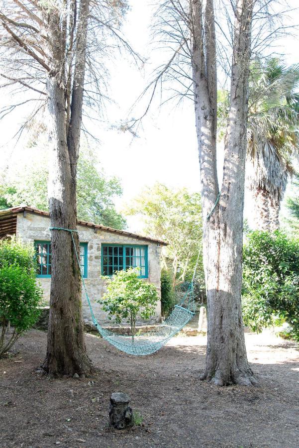 Neiva River House - Azenha Next To The River Esposende Exterior foto