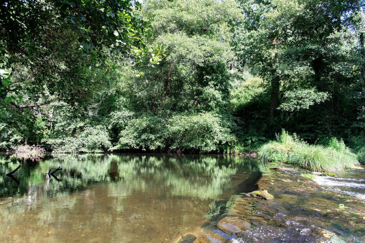 Neiva River House - Azenha Next To The River Esposende Exterior foto